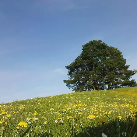 宾馆 罗西旅馆 *
