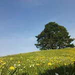イン Roessli *